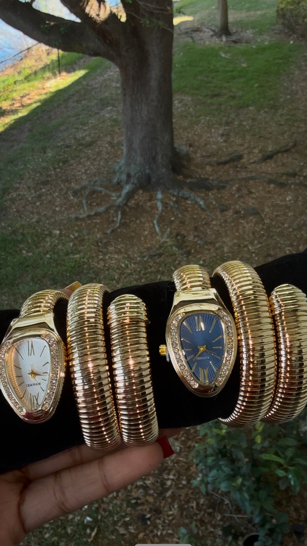 Snakeskin watch