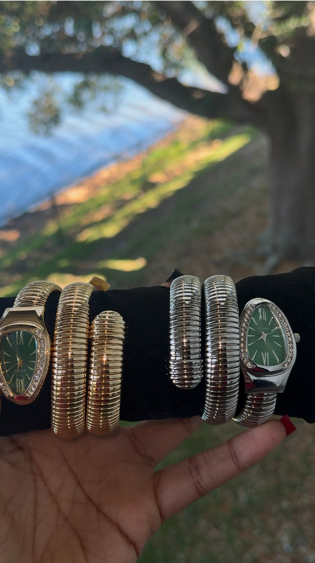 Snakeskin watch